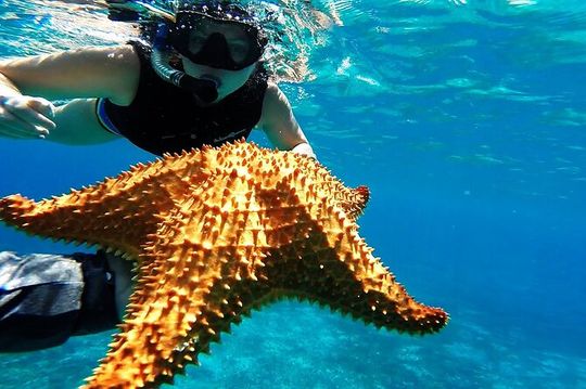 Speed Boat with Snorkeling Adventure of Cancun