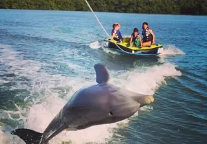 Marco Island Private Tubing, Dolphin Watching and Shelling Tour