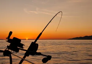 Half Day Fishing Adventure