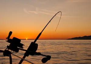 Half Day Fishing Adventure