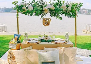 Central Park Luxury Picnic for 2