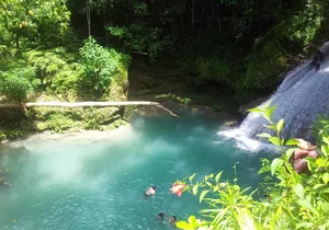 Private Montego Bay Shore Excursion to the Blue Hole