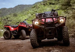 Jungle ATV Adventure (Single)