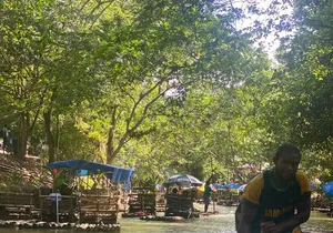 Great River Bamboo Rafting at Lethe from Montego Bay