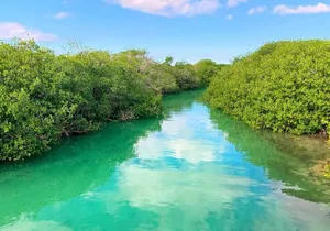 Eco Biosphere Tour, Sian Kaan Swim from Tulum City
