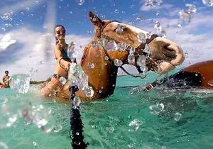 Horseback Ride Adventure Activity Inclusive With Transportation From Montego Bay