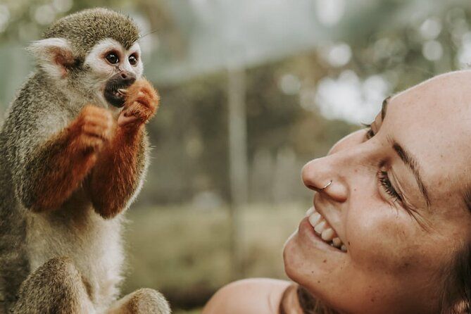 Monkey with Zip line