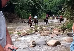 Experience 3 in 1 - Horse Riding, Zipline & ATV Shared