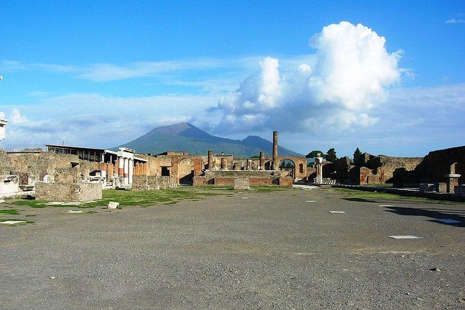 Pompeii: living with the volcano