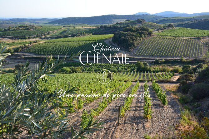Guided tour with a winemaker: From the vine to the glass...