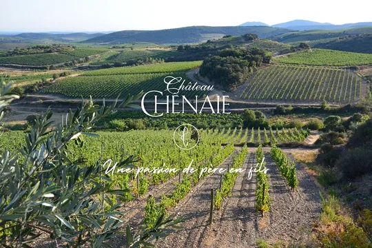 Guided tour with a winemaker: From the vine to the glass...