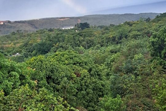 Private Jamrock Herbal Trek at Discovery Bay Jamaica