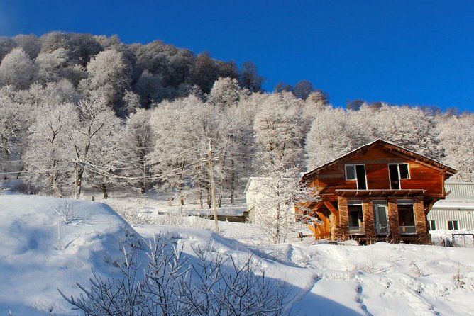 Winter tour to Georgia in Bakuriani for 5 days