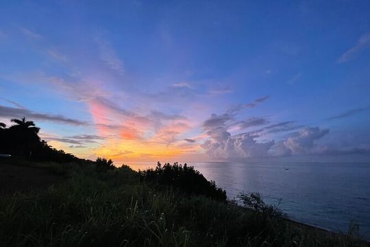 Tarot and Tea a Private Tropical Timeout in Montego Bay