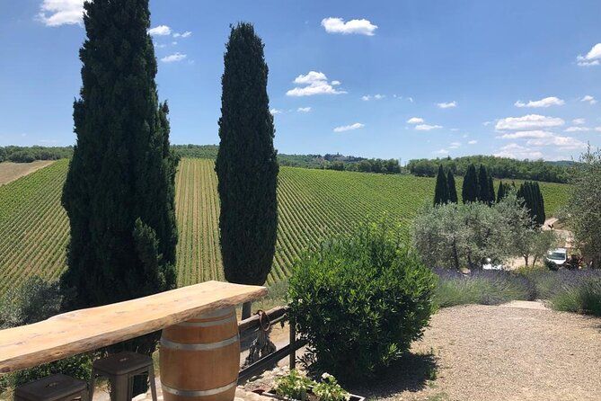 Visit Of The Chianti Classico And The Tuscan Countryside