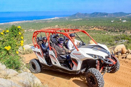 Cabo San Lucas & Southern Baja California: ALL in 6 Days, 1st Class Custom Tours