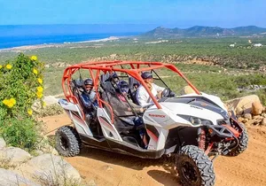 Cabo San Lucas & Southern Baja California: ALL in 6 Days, 1st Class Custom Tours