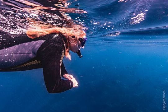 Mobula Ray and Ocean Safari Day Trip