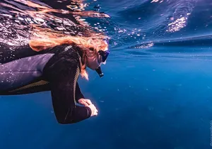 Mobula Ray and Ocean Safari Day Trip