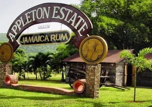 Private Appleton Estate Rum Tour & Tasting from Montego Bay