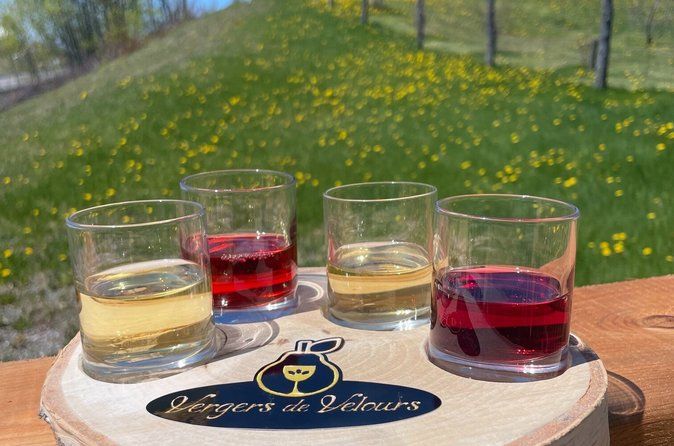 Fruit alcohol tasting + Velvet Orchards audio tour