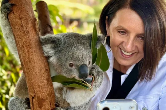 Baby Animals, Boomerangs and BBQ Lunch