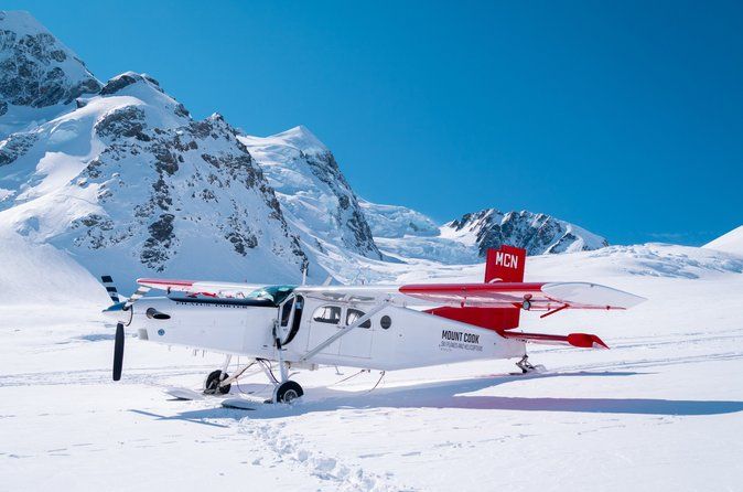 45-Minute Glacier Highlights Ski Plane Tour from Mount Cook