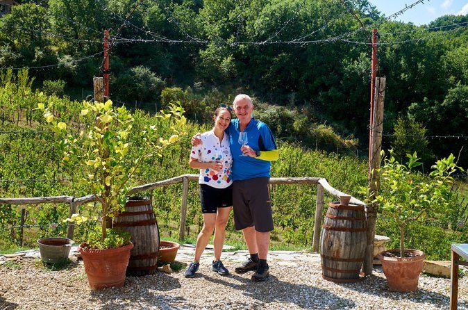 Brunello di Montalcino Wine Tour with 2 Wineries & Lunch at Farm