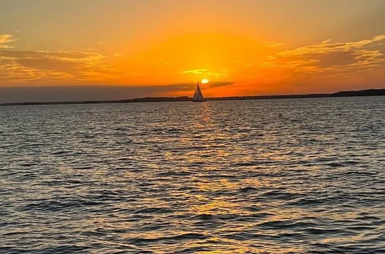 Sip & Sunset - BYOB Adults Only Dolphin Cruise