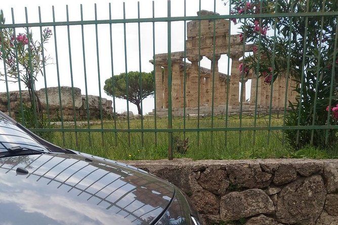 From Castellabate Paestum Temples Bufala Mozzarella wine tasting