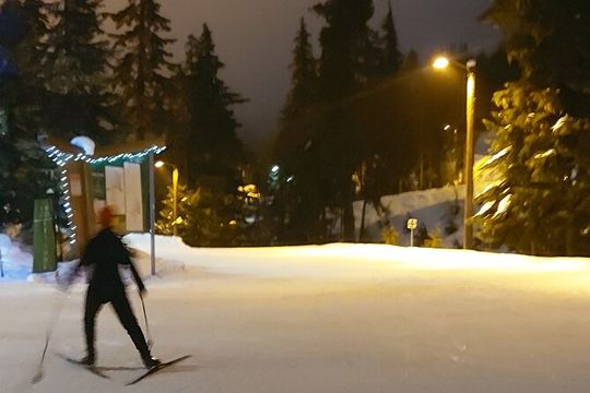 Evening Snowshoeing / Cross-country skiing Experience
