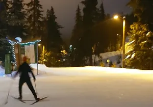 Evening Snowshoeing / Cross-country skiing Experience