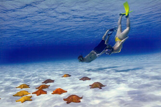 El Cielo Cozumel Snorkel Share Boat + Reefs + Food Drinks + Beach