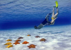 El Cielo Cozumel Snorkel Private Boat + Food + Drinks + Beach