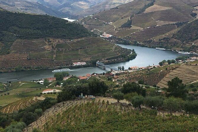 Douro Private Tour through Peso da Régua and Pinhão