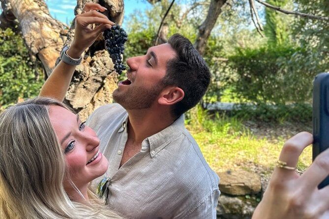 Small Group Chianti Wine Tour with a Somm