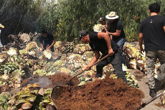 Mezcal Tour Oaxaca
