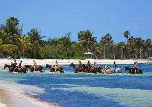 Private Horse Back Riding And Dunns' River Falls From Montego bay