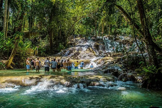 Dunn’s River Falls and Zipline with Roundtrip Transfers
