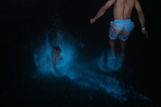 Private Luminous Lagoon Tour from Montego Bay