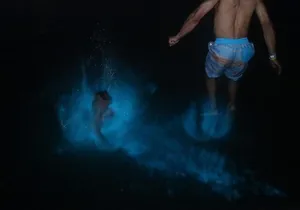 Private Luminous Lagoon Tour from Montego Bay