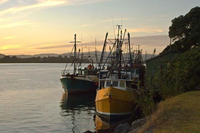 Explore Tauranga: Self-Guided Audio Tour
