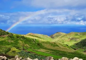 Tenerife Teno Highlights Guided Hike & local food