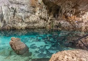 Explore Tulum ruins and Coba site with Transportation and Guide