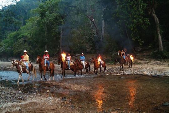 Experience Horse Back Riding & Ziplines