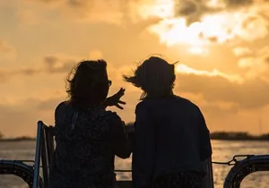 Savannah Sunset Dolphin Eco Tour