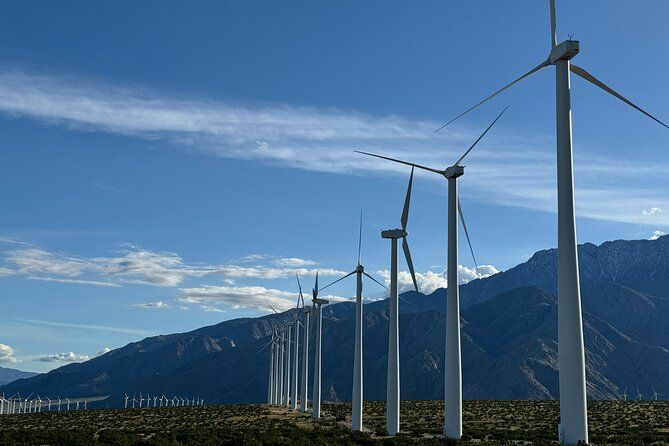 Palm Springs Windmill Guided Tour by Golf Cart
