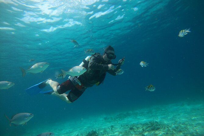 Discovering Diving in Chankanaab Park