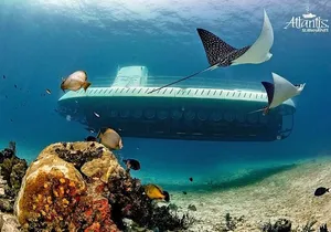 Cozumel EN Submarine Tour from Cancun or Playa del Carmen