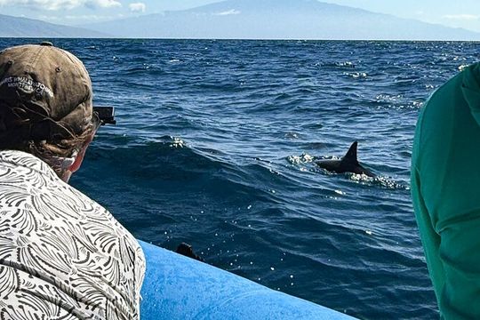 Maui Eco-Raft: 2 Hour Dolphin Watch Sightsee Tour (Semi-Private)